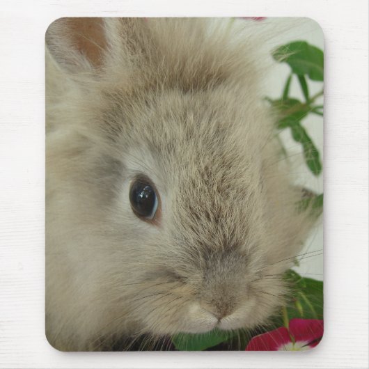 Lionhead Bunny Mousepad (Vorne)