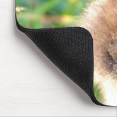 Lionhead Bunny Mousepad (Ecke)
