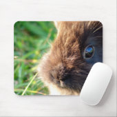 Lionhead Bunny Mousepad (Mit Mouse)