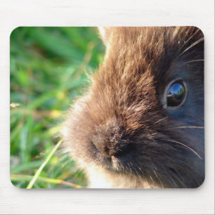Lionhead Bunny Mousepad