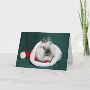Lionhead Bunny Santa Feiertagskarte