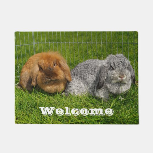 Lionhead Holland Mini Lop Bunny Rabbit Fußmatte (Vorderseite)