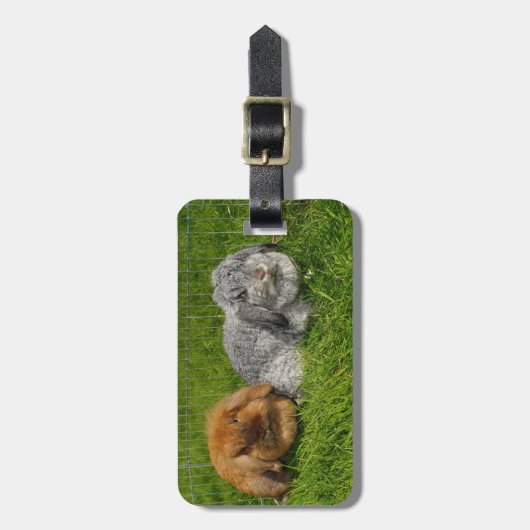 Lionhead Holland Mini Lop Bunny Rabbit Gepäckanhänger (Vorderseite vertikal)