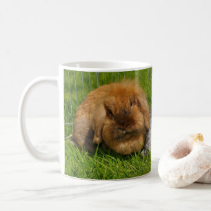 Lionhead Holland Mini Lop Bunny Rabbit Kaffeetasse