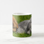 Lionhead Holland Mini Lop Bunny Rabbit Kaffeetasse (Mittel)