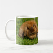 Lionhead Holland Mini Lop Bunny Rabbit Kaffeetasse (Links)