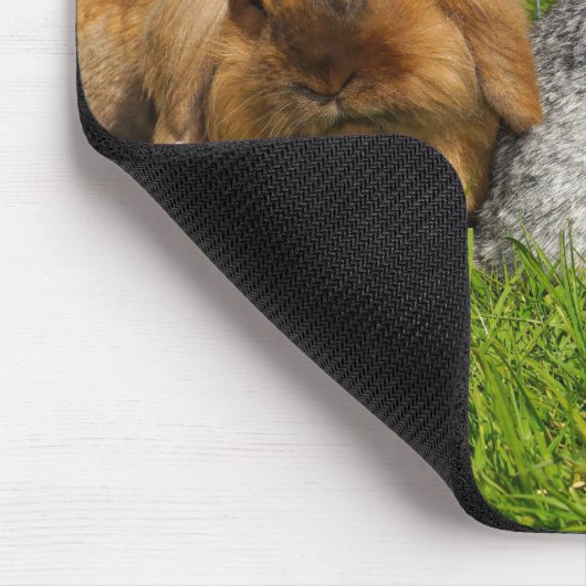 Lionhead Holland Mini Lop Bunny Rabbit Mousepad (Ecke)