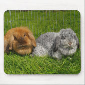 Lionhead Holland Mini Lop Bunny Rabbit Mousepad (Vorne)