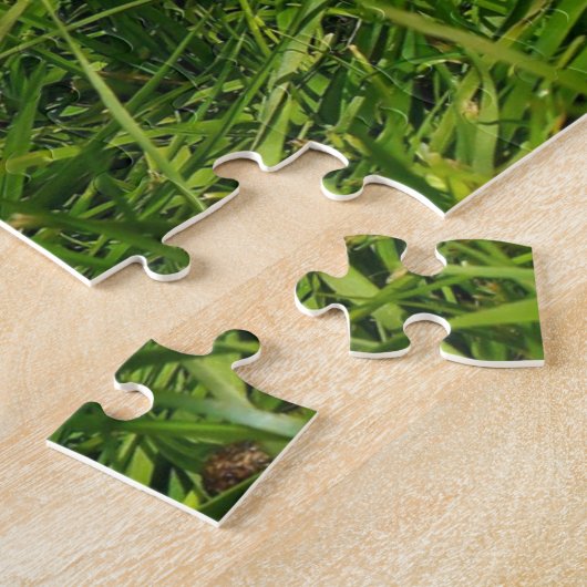 Lionhead Holland Mini Lop Bunny Rabbit Puzzle (Seite)