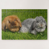 Lionhead Holland Mini Lop Bunny Rabbit Puzzle (Horizontal)