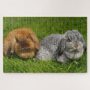 Lionhead Holland Mini Lop Bunny Rabbit Puzzle