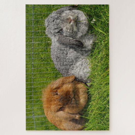 Lionhead Holland Mini Lop Bunny Rabbit Puzzle (Vertikal)