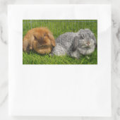 Lionhead Holland Mini Lop Bunny Rabbit Rechteckiger Aufkleber (Tasche)