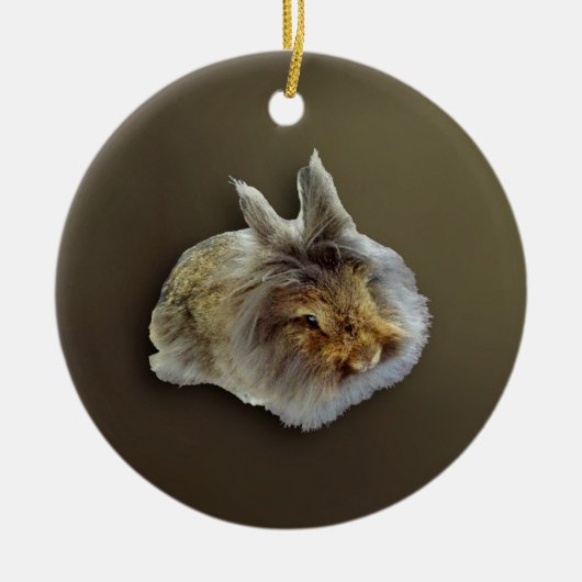 Lionhead Rabbit Keramik Ornament (Vorne)