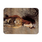 Lionheart Magnet (Horizontal)