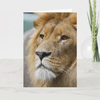 LionKing Karte