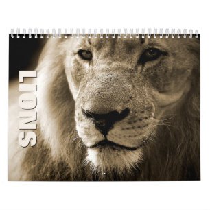 Lions 2022 Wall Calendar Kalender