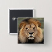 Lions Fotografie Button (Vorne & Hinten)