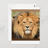 Lions Head Postcard Postkarte (Vorne/Hinten)