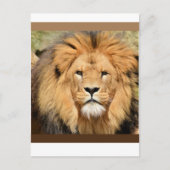 Lions Head Postcard Postkarte (Vorderseite)
