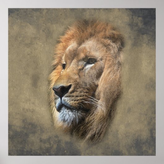 Lions Head Poster (Vorne)