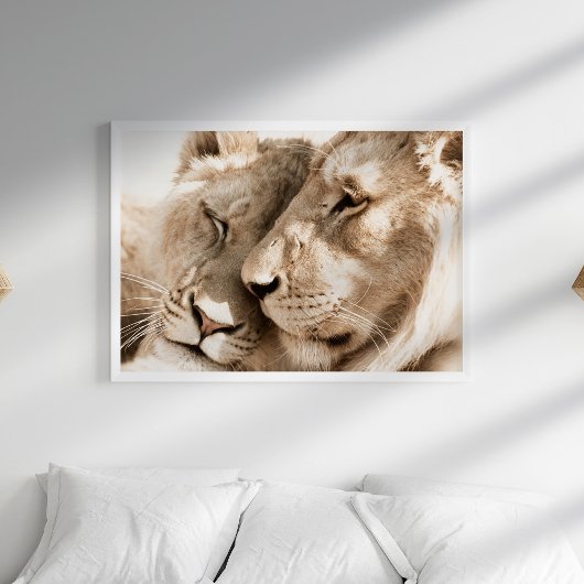 Lions Liebe Safari Animals Fotoposter Poster