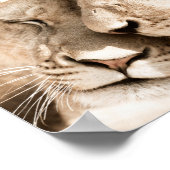 Lions Liebe Safari Animals Fotoposter Poster (Ecke)
