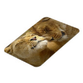 Lions Magnet (Linke Seite)