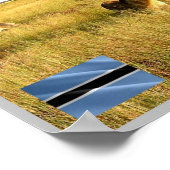 LIONS-Okavango-Delta - Poster (Ecke)