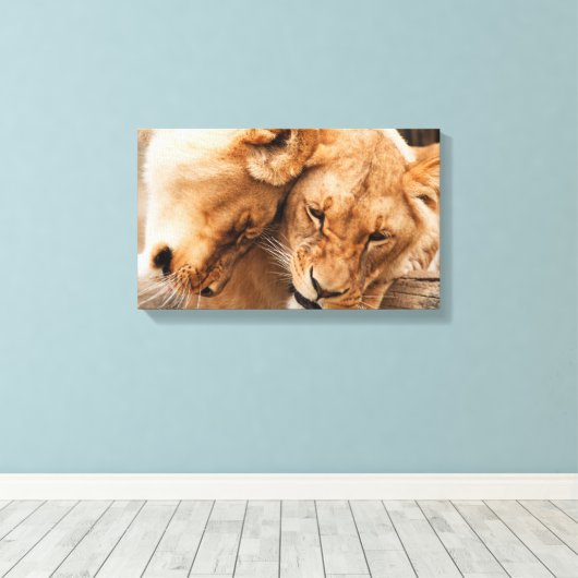 Lions paare canvas print leinwanddruck (Insitu (Holzboden))