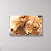 Lions paare canvas print leinwanddruck (Vorderseite)