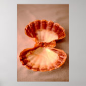 Lions Paw Poster (Vorne)