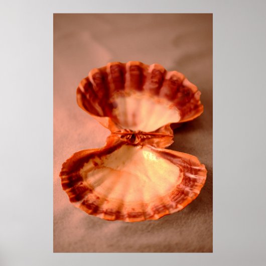 Lions Paw Poster (Vorne)