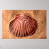 Lions Paw Poster (Vorne)