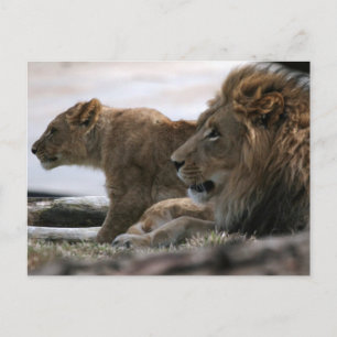 Lions Postkarte