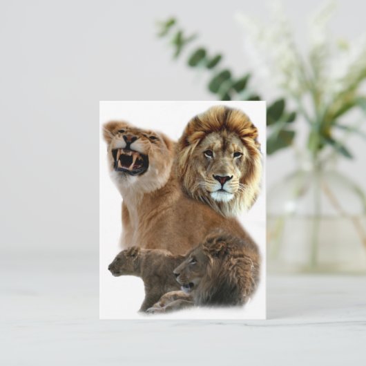 Lions Postkarte (Stehend Vorderseite)