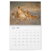 Lions-Wall-Kalender Kalender (Mär 2027)