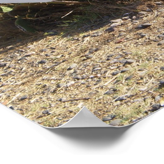 Lipari Roadside Sign Poster (Ecke)