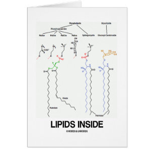 Lipid-Innere (chemische Moleküle)