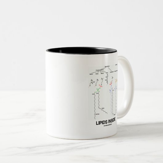Lipid-Innere (chemische Moleküle) Zweifarbige Tasse (VorderseiteRechts)