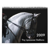 Lipizzaner Stallions Kalender (Titelbild)
