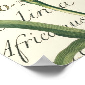 Lippe mit kalligraphischem Detail Poster (Ecke)