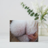 Lippen und Nase Extrem Nah Postkarte (Stehend Vorderseite)