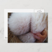 Lippen und Nase Extrem Nah Postkarte (Vorne/Hinten)