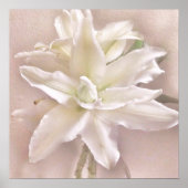 Lippenblüten Blush Poster (Vorne)