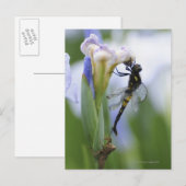 Lippenfliege Postkarte (Vorne/Hinten)