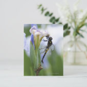 Lippenfliege Postkarte (Stehend Vorderseite)