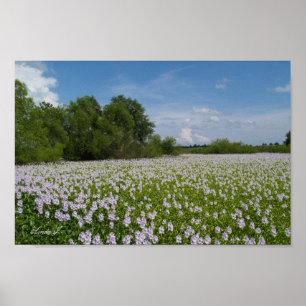 Lippenstift-Blume auf einer Leinwand oder einem Po Poster
