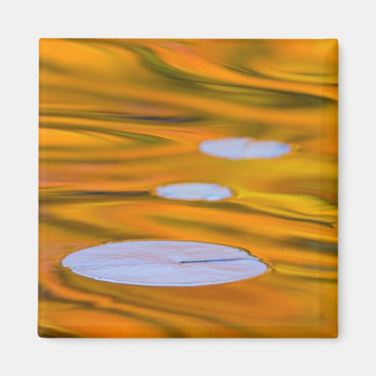 Lippteppich auf Orangenwasser, Kanada Magnet (Vorne)