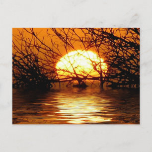 Liquid Sunset Postcard Postkarte